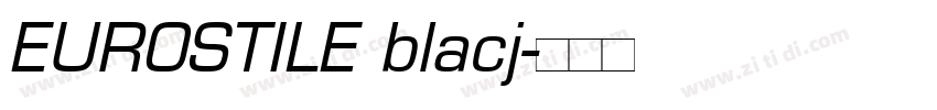 EUROSTILE blacj字体转换
